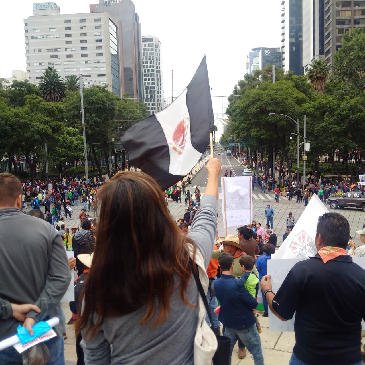 El verde, blanco y rojo de la bandera mexicana fue cambiada por negro y blanco, en símbolo del luto que se vive en el país.