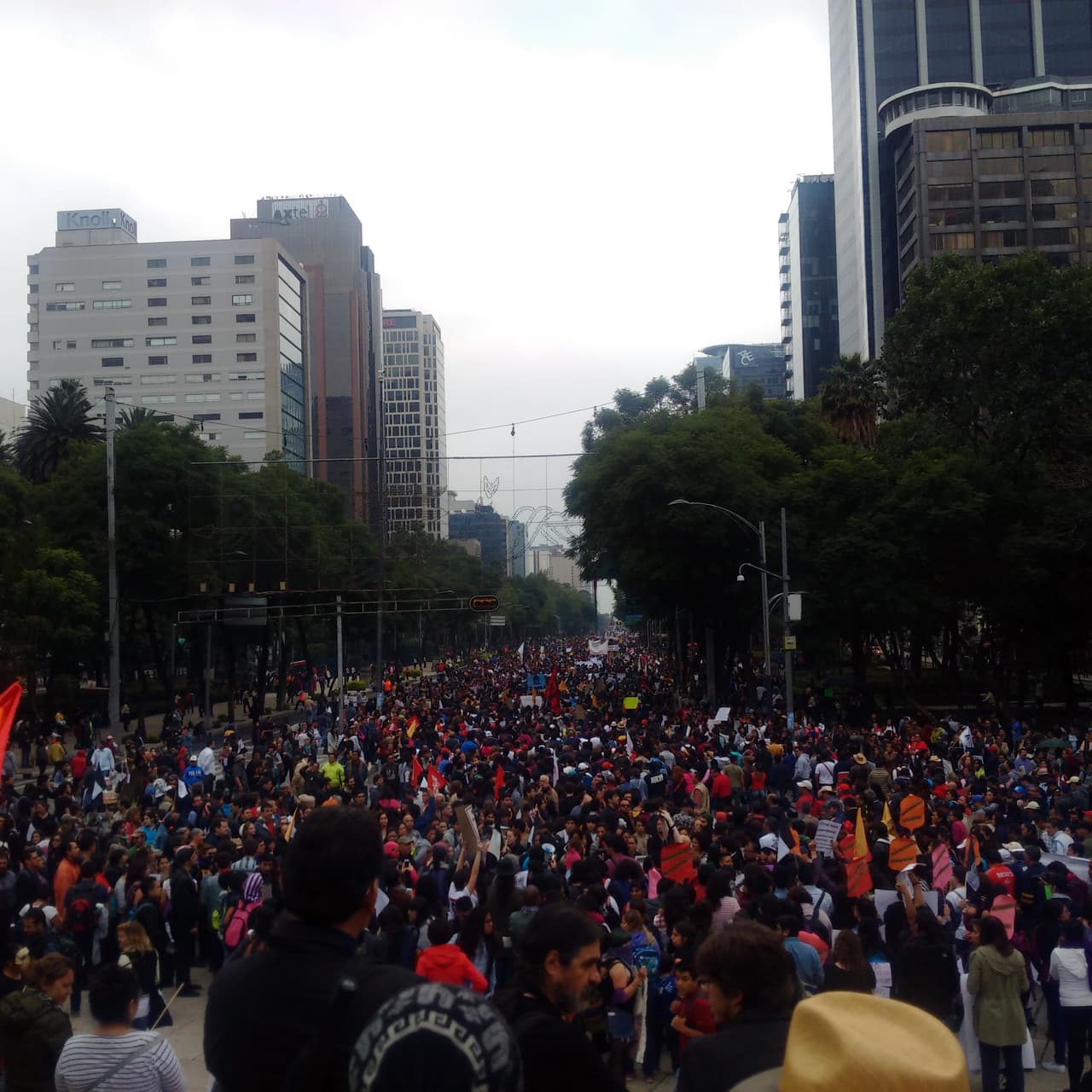 Personas de diferentes estados viajaron a la Ciudad de México para participar en la manifestación multitudinaria.