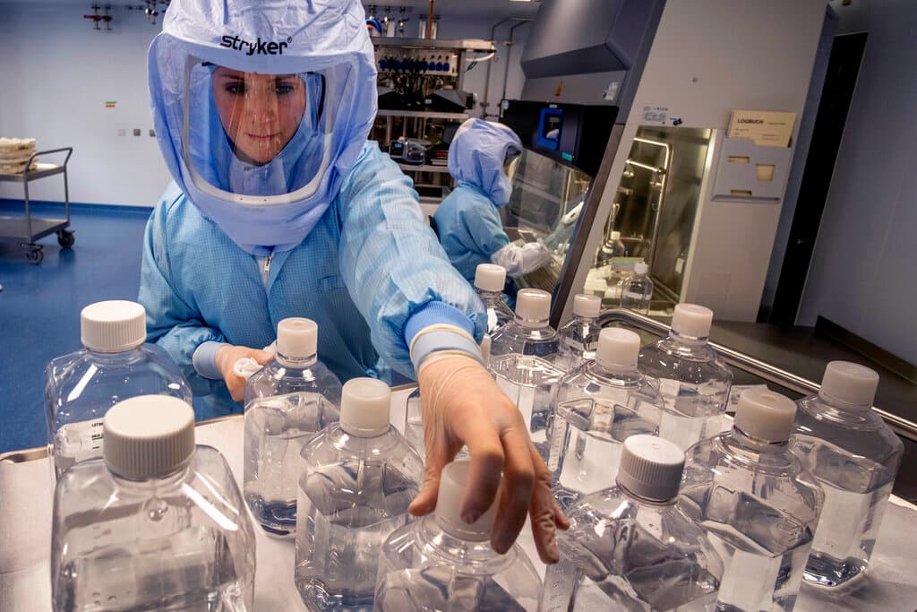 Mortal y contagioso: lo que debes saber sobre el virus de Marburgo por el que los CDC emitieron una alerta tras su expansión en dos países