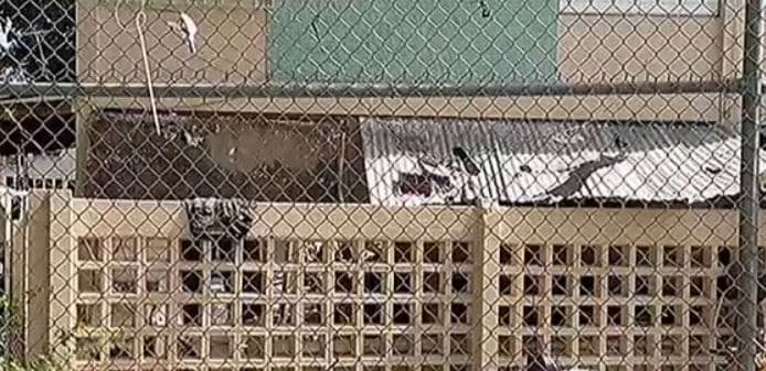 Mujer muere aplastada tras colapsar techo donde ubicaba la cisterna
