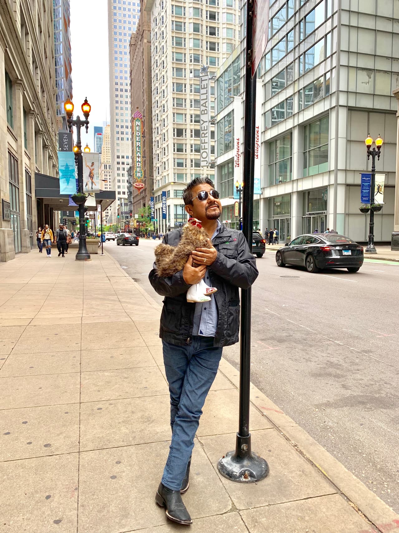 A la gallinita le encantó andar paseando por las calles de Chicago.