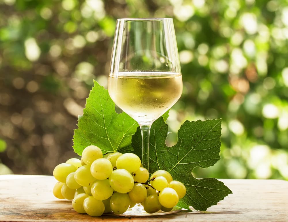 <b>Capricornio</b>
<br>Los vinos secos y semisecos aunque también los varietales de Chardonnay y el Sauvignon Blanc. Asimismo el elegante Viognier de uva blanca, y el Sémillon, seco y dulce a la vez, crean ese marco especial tan elegante que acompaña siempre a los nativos de este signo telúrico.