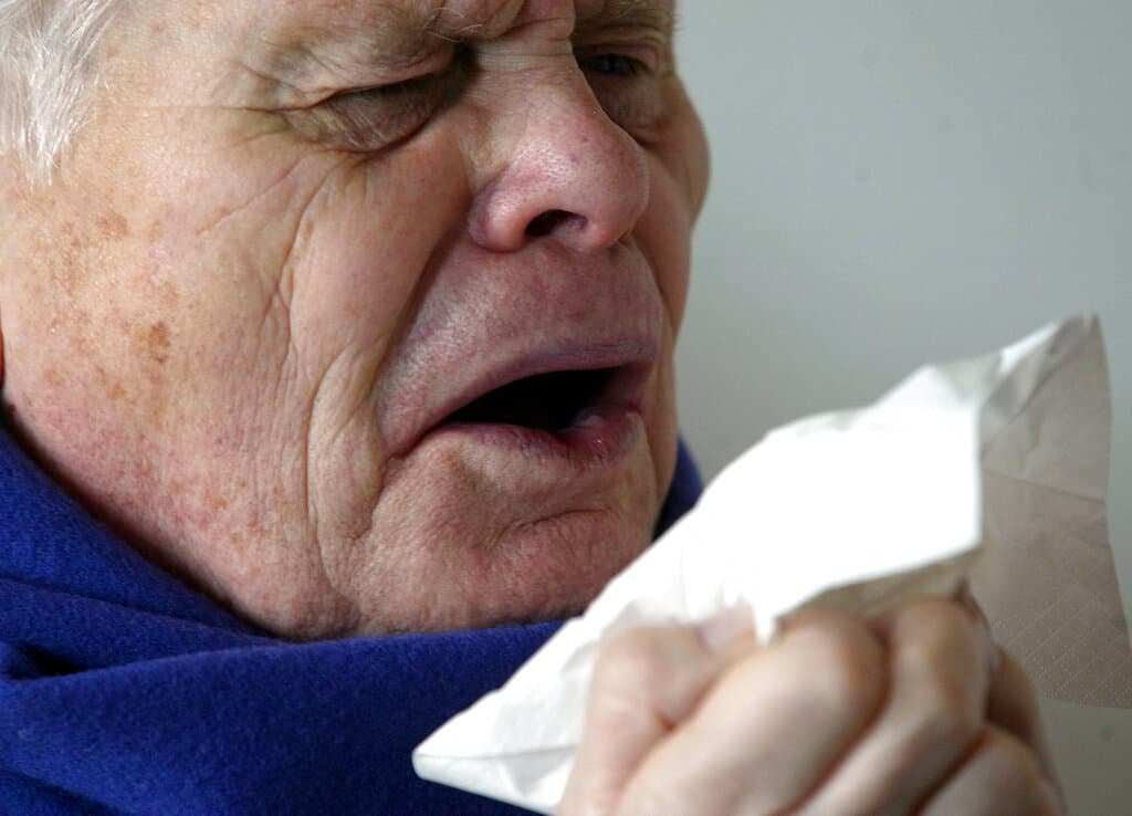 No todo estornudo es sinónimo de coronavirus: estos son los virus más abundantes en invierno