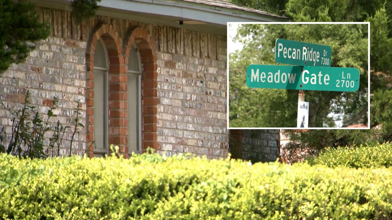 ¿Un tigre cachorro en Oak Cliff? Esto se sabe del animal hallado enjaulado en una casa