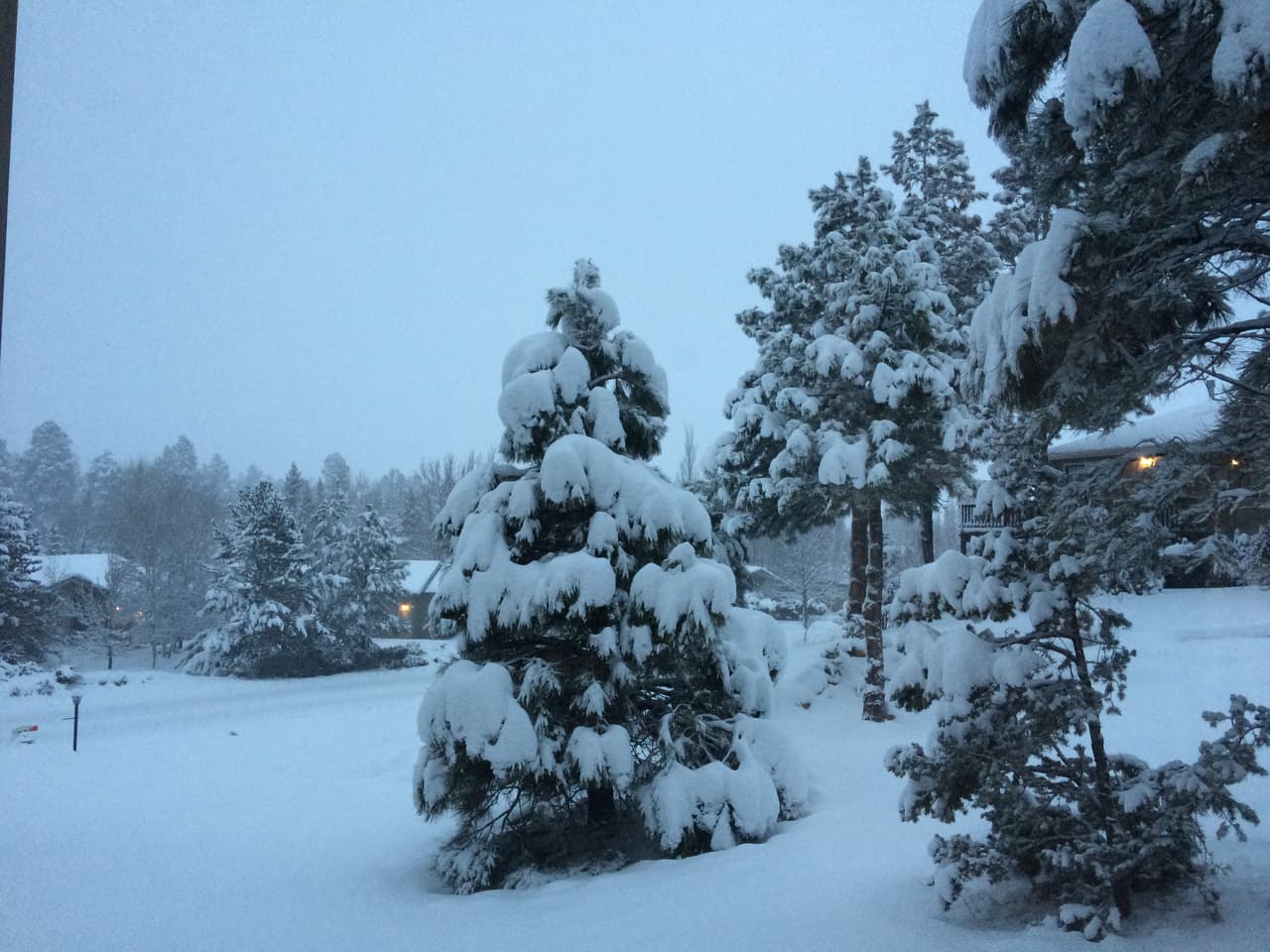 Desde este miércoles, no ha dejado de nevar en Flagstaff, cubriendo de blanco por completo la ciudad. Este jueves se esperan de 3 a 8 pulgadas de nieve.
