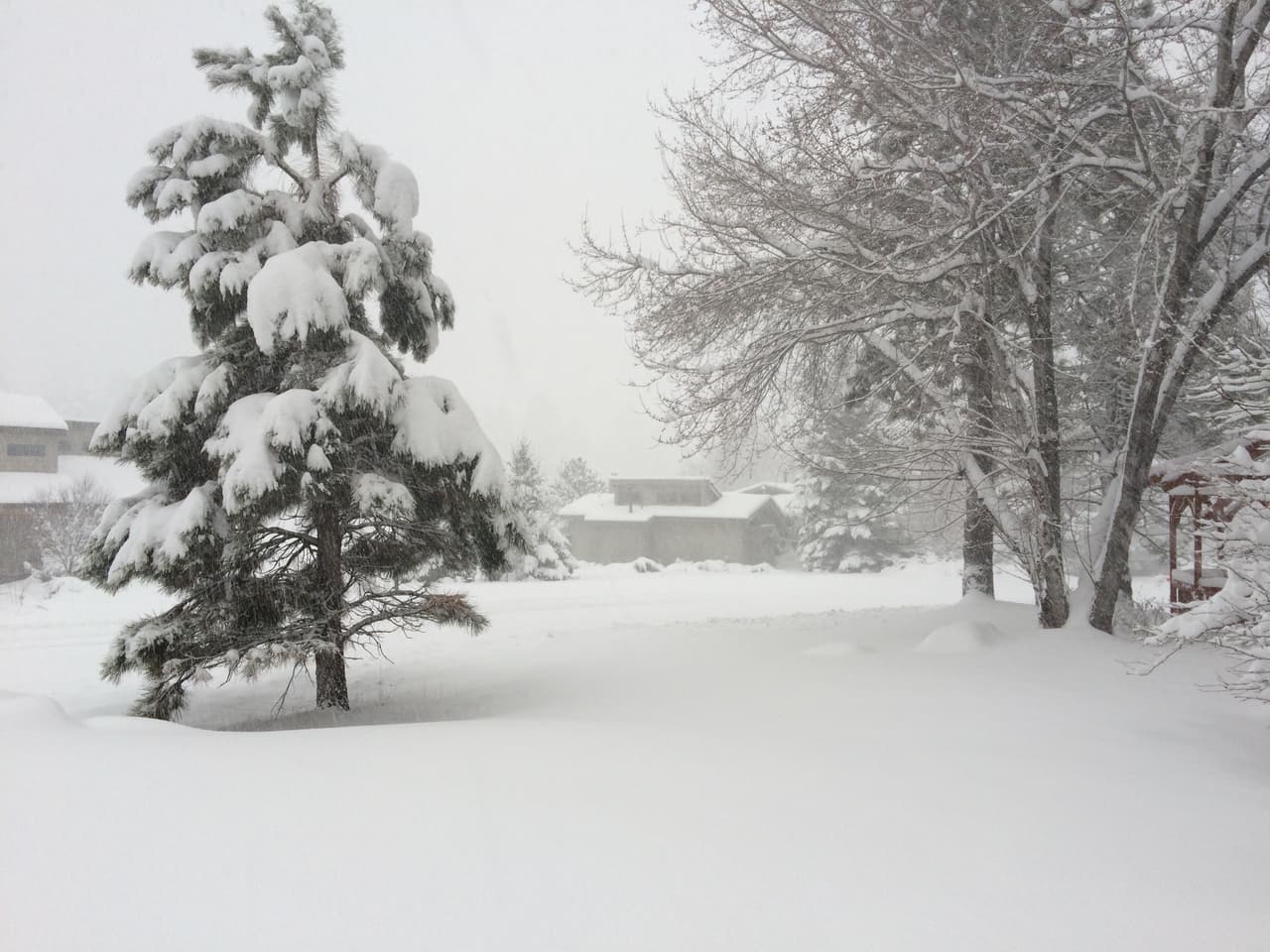 Desde este miércoles, no ha dejado de nevar en Flagstaff, cubriendo de blanco por completo la ciudad. Este jueves se esperan de 3 a 8 pulgadas de nieve.
