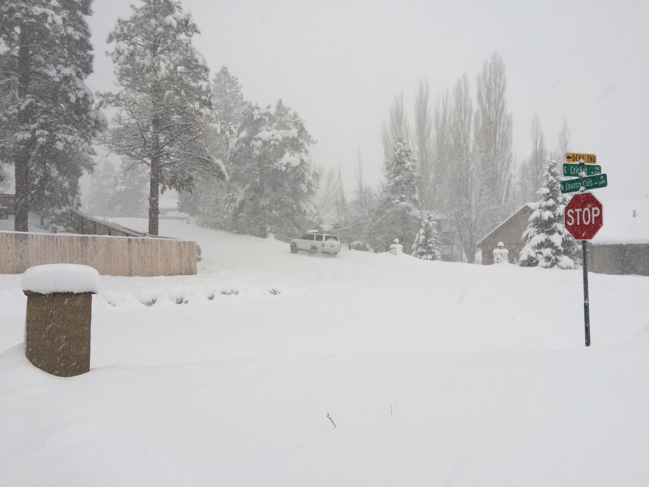 Desde este miércoles, no ha dejado de nevar en Flagstaff, cubriendo de blanco por completo la ciudad. Este jueves se esperan de 3 a 8 pulgadas de nieve.