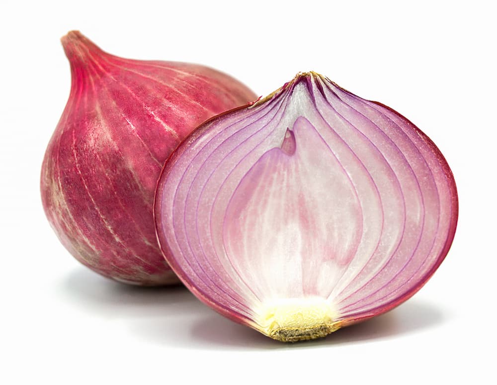 Soldados las comían para aumentar su 'virilidad' y potencia de 'macho alfa' en las batallas, pues se decía que puede aumentar la virilidad masculina. Se creía desde entonces que algunos de sus componentes ayudan a mejorar el flujo sanguíneo al pene, así que se recetaba en casos de impotencia y debilidad sexual.