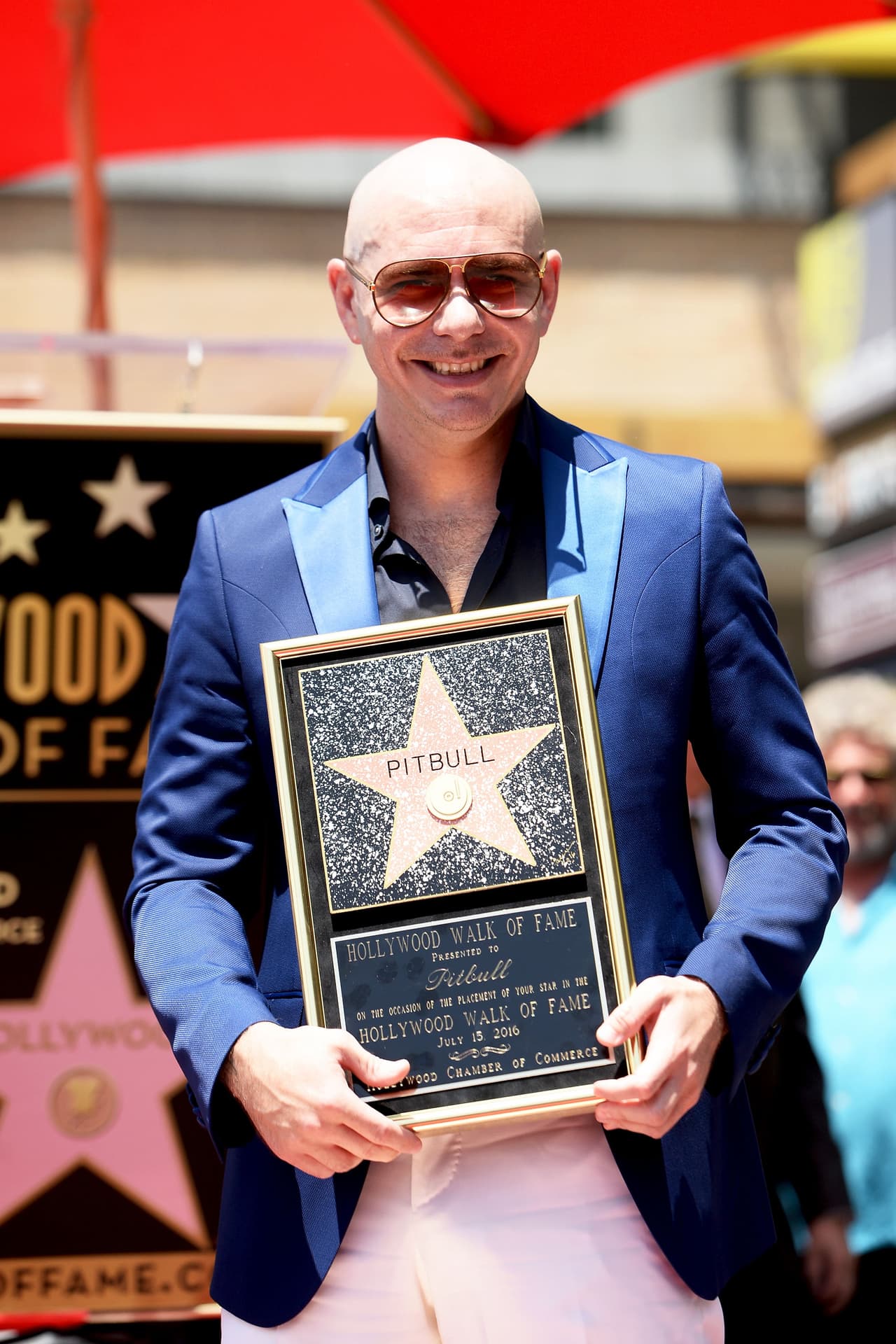 La ciudad de Hollywood designó el 15 de julio como el Día de Pitbull.