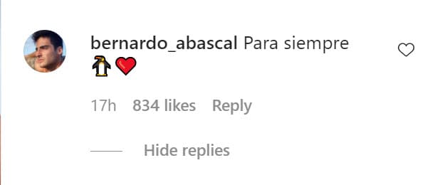 Bernardo Abascal le dejó este comentario: 
<b>"Para siempre"</b>, junto al emoticono de un corazón y un pingüino, lo que sugiere que ese pudiera ser el apodo entre ellos. 
<br>
