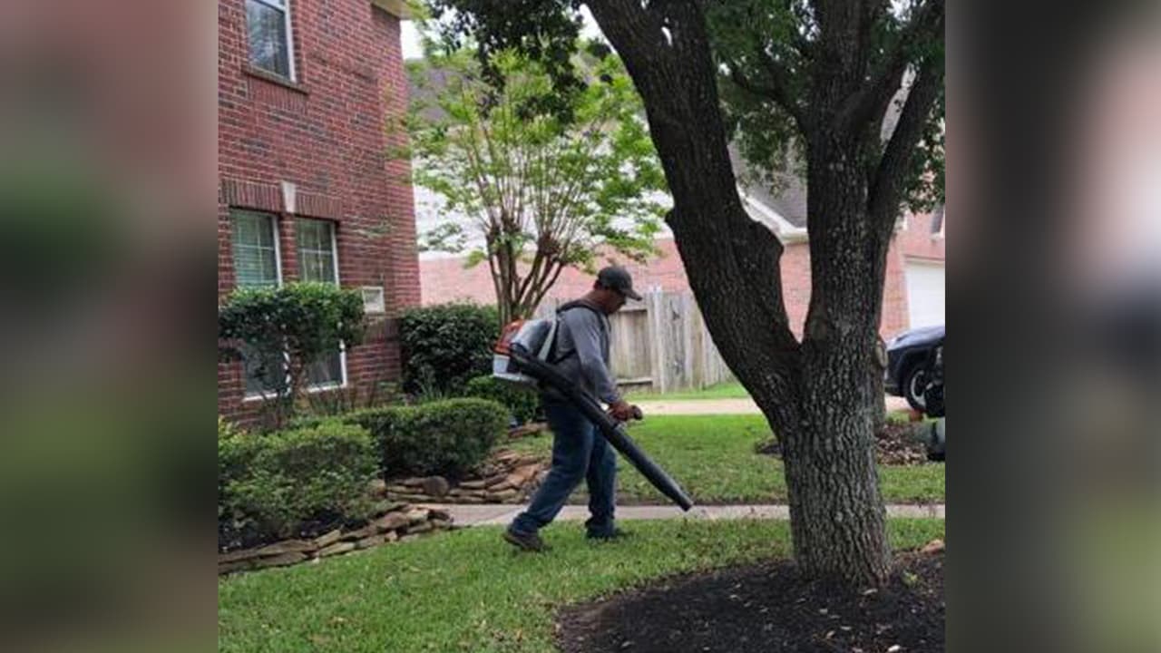 William Juárez, originario de Guatemala, trabaja desde hace cinco años arreglando jardines.