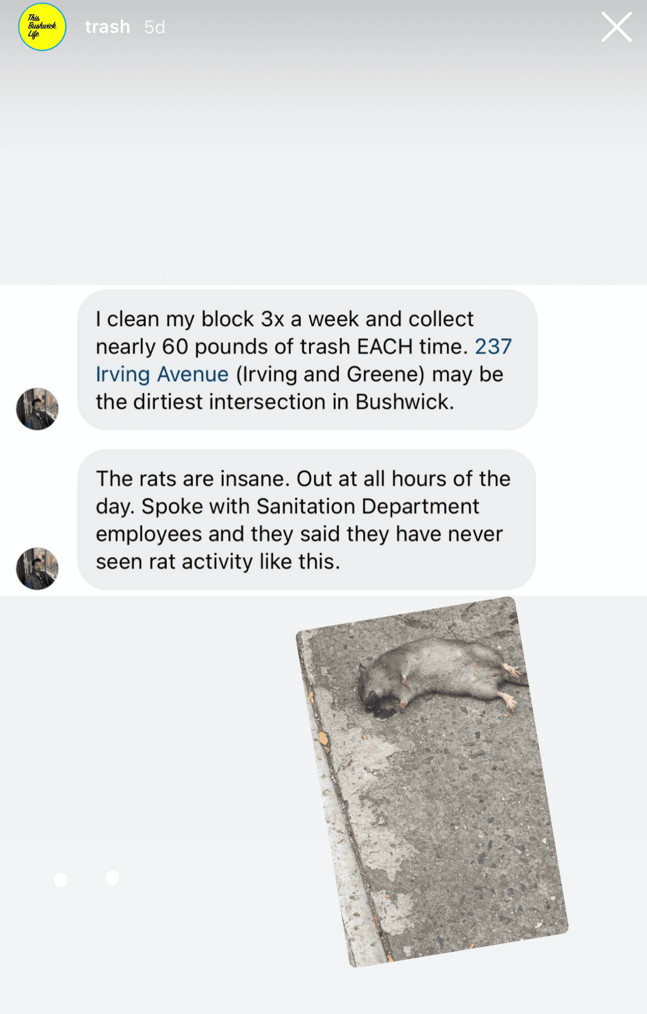 Por otra parte, algunos usuarios se han quejado de la presencia de ratas en el vecindario. "Son del tamaño de un conejo", afirma un usuario, que lo achaca a la acumulación de basura.