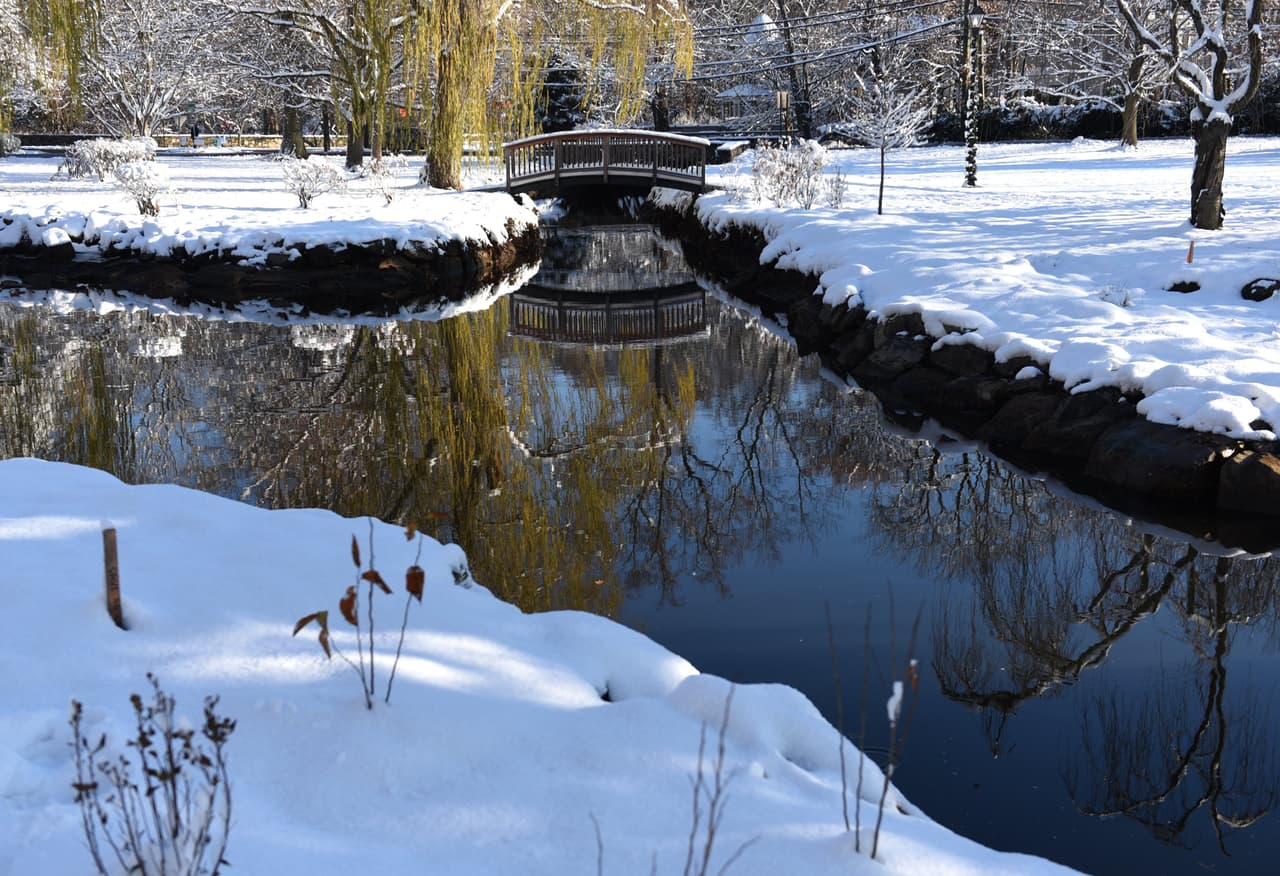 Binney Park, en Connecticut, totalmente cubierto de nieve, tras la última gran nevada decembrina.