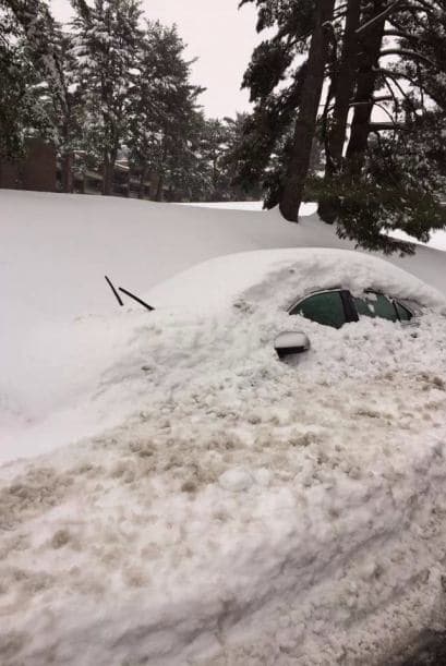 Esta postal enviada desde Virginia por Juan Cardona Vienna no necesita palabras para describirla. ¿Cuál habrá sido la reacción del dueño del automóvil?