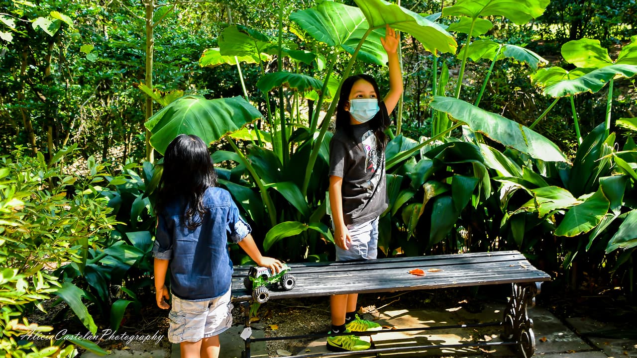 El recorrido por los jardines son un viaje por el tiempo, que disfrutan chicos y grandes.