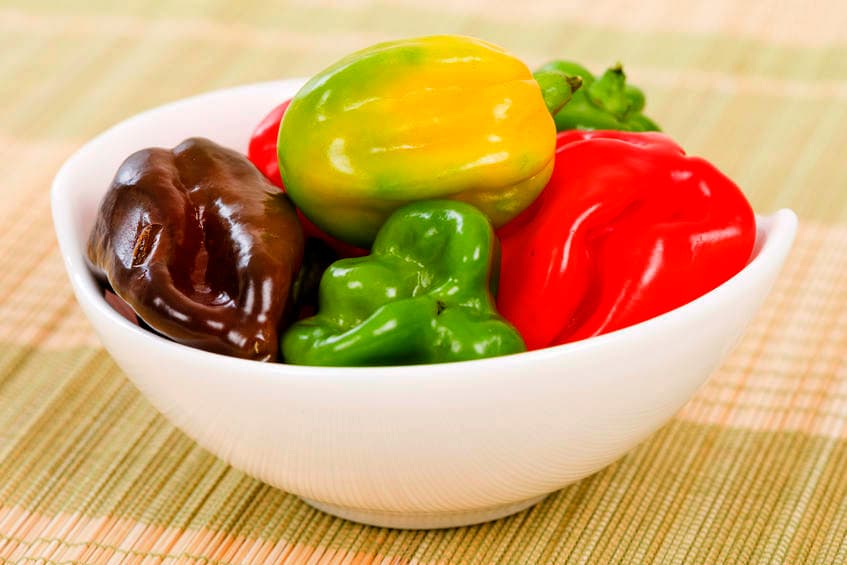 Scotch Bonnet o gorro escocés