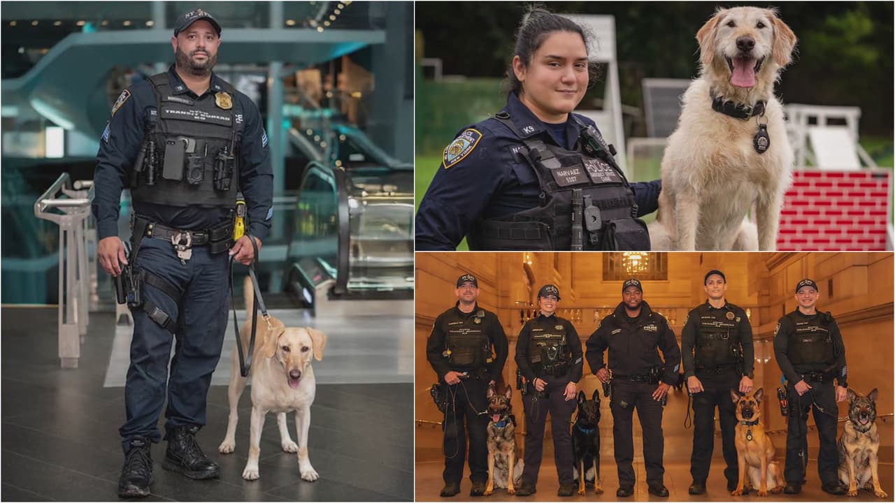 NYPD presenta su calendario "Caninos y Amigos" 2026