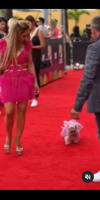 Muchos fines de semana la llevó con ella y su esposo a los paseos que hacían juntos y hasta desfiló con la pareja en alfombras rojas.
<br>