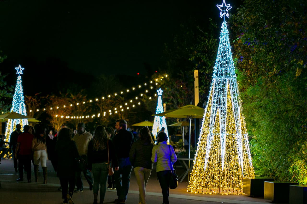 Es una experiencia de película cuando el público se sumerge entre las luces que iluminan los árboles.