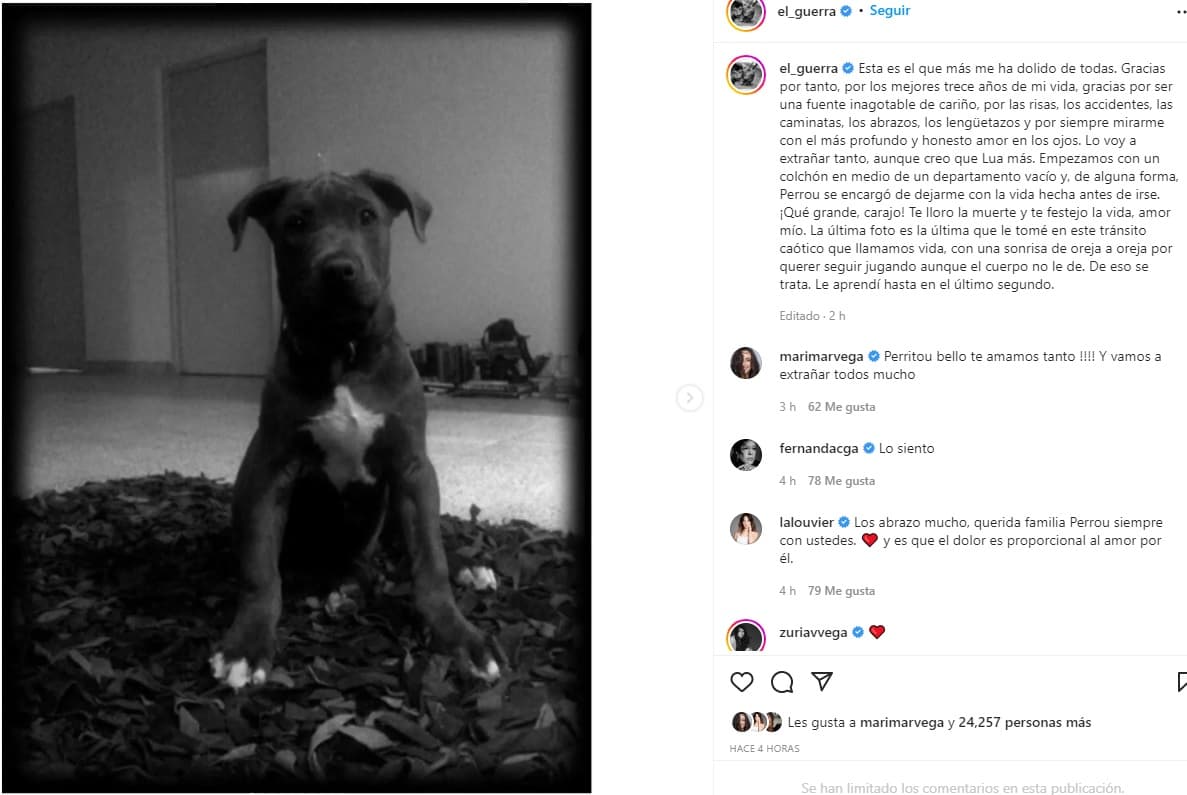 "Esta es el que más me ha dolido de todas. Gracias por tanto, por los mejores trece años de mi vida, gracias por ser una fuente inagotable de cariño [...] Y por siempre mirarme con el más profundo y honesto amor en los ojos", señaló Guerra en Instagram.