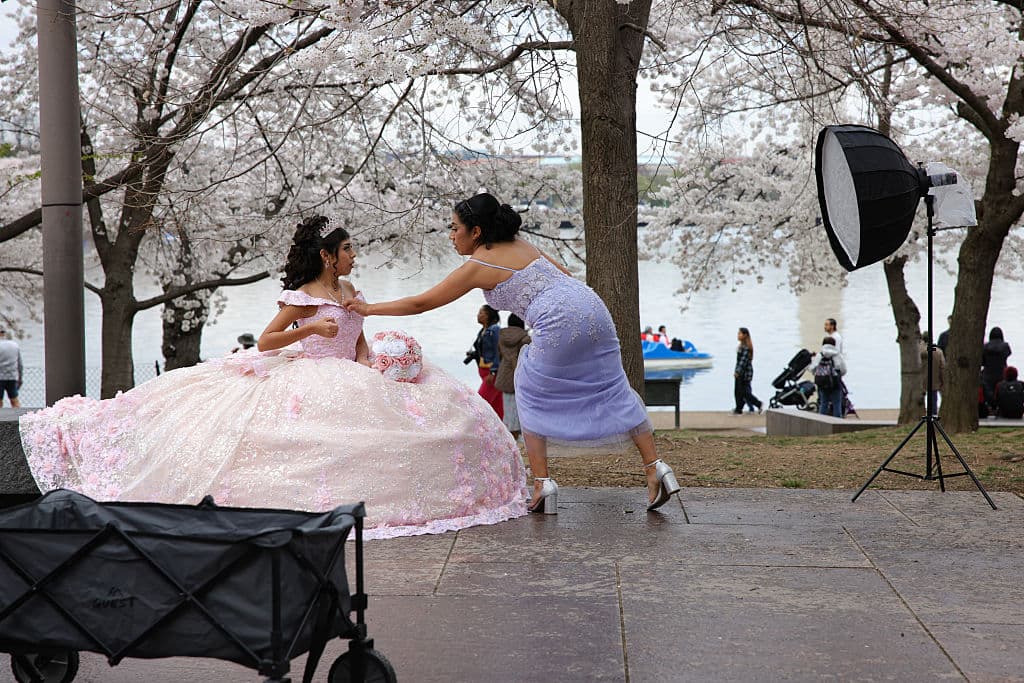 La floración de los 'cherry blossoms' o cerezos en flor en Washington D.C., sirvió de escenario para una sesión de fotos que esta menor no olvidará.