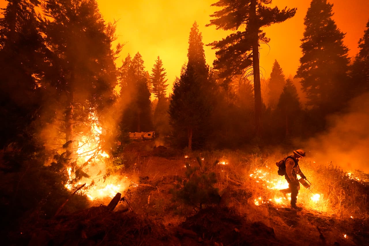 En esta imagen el bombero hispano, Ricardo Gómez, del equipo de San Benito Monterey Cal Fire, enciende una quemadura controlada con una antorcha de goteo mientras combate el incendio Creek en el condado de Fresno.
<br>
