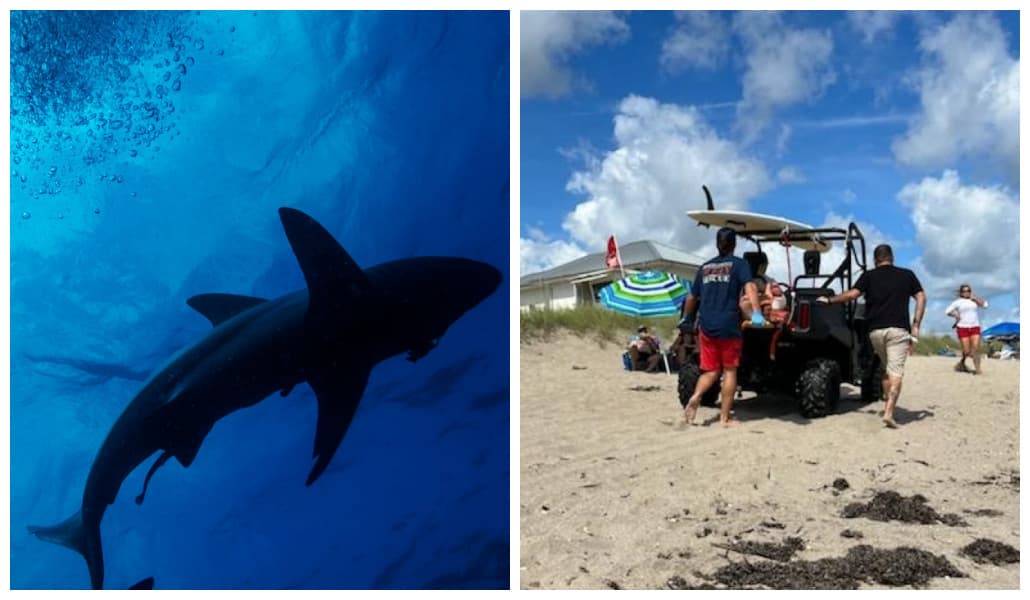 Cierran Jensen Beach Park luego de que hombre fuera mordido por un tiburón 