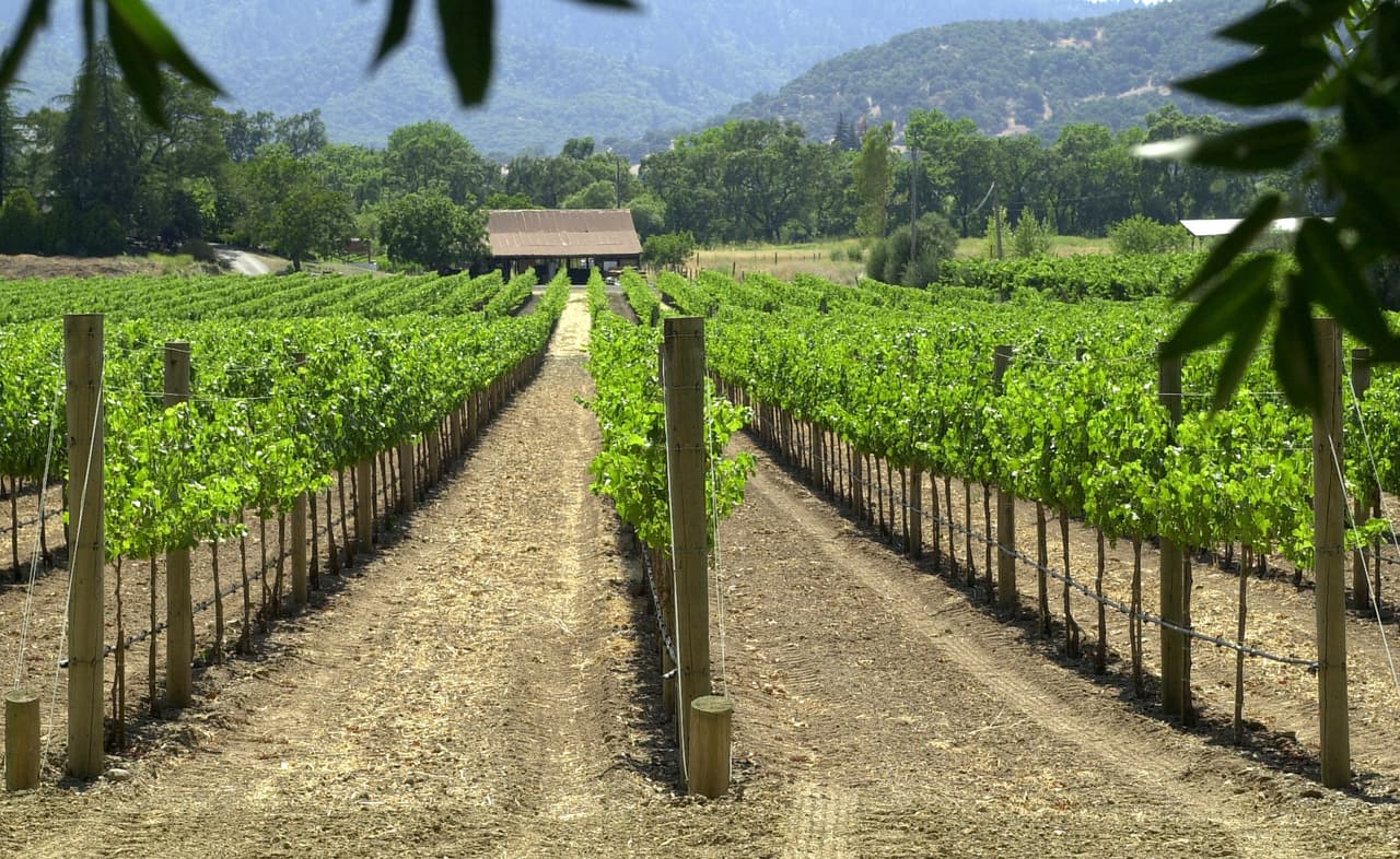En el lugar 10 está Napa, California, otra región del Área de la Bahía, en donde la vida es 11.4% en comparación con otras ciudades del país.