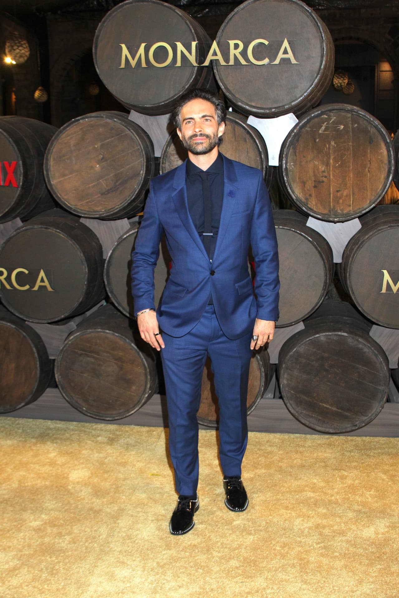 Ha hecho teatro y series televisivas como ‘Soy tu fan’ y ‘Monarca’. Después de casi 10 años alejado de las telenovelas, regresó en 2011 a la pantalla chica con 'La que no podía amar'.