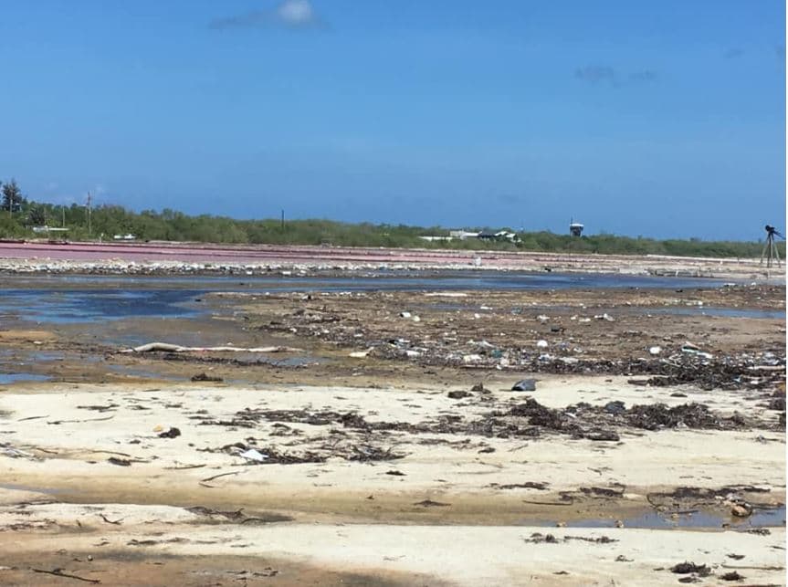 "Gente esto es solo una porción en las Salinas de Cabo Rojo", escribió en sus redes sociales Lilian Ramírez, asociada de invesitgación en Sea Grant Puerto Rico.