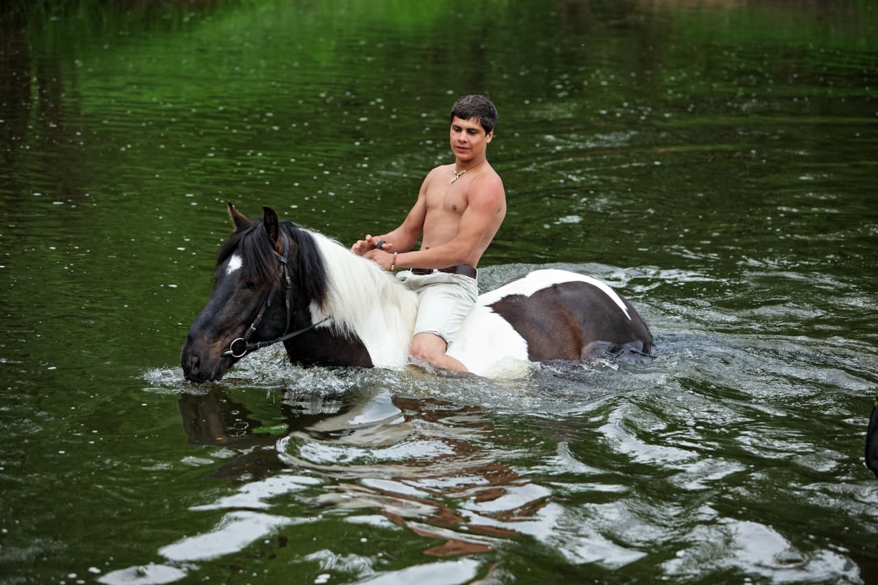 Man bathes in the summer river horse