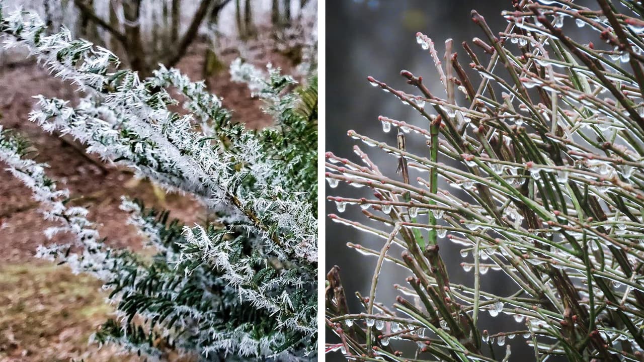 Sistema invernal trae nieve y lluvia helada a sectores de Carolina del Norte