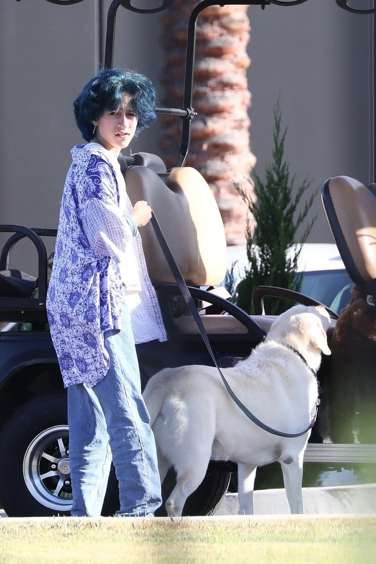 En los recientes meses se la visto luciendo la moda 'preppy' y 'grunge', tendencias que nacieron en la década de los noventas.