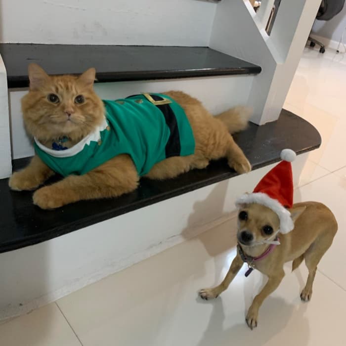 "Diego y Cloe en navidad", nos manda su foto Sabrina Castisani.