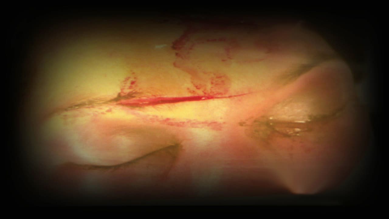 Víctima de violencia de género en Texas recibirá millonaria compensación