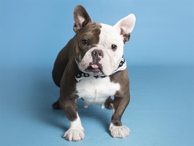 Minnie es una linda nena de 1 añito.