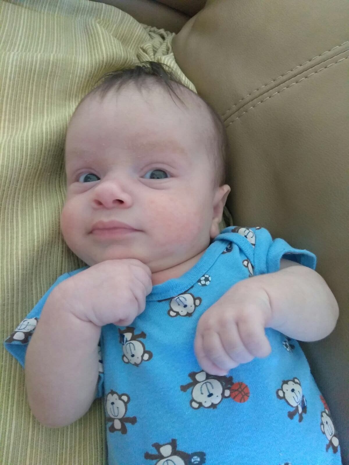 En diciembre de 2016, durante la transmisión del show,
<b><a href="http://www.univision.com/temas/el-gordo" target="_blank">Raúl de Molina</a></b> dio la primicia de que Carlitos y su pareja estaban esperando a su primer hijo.