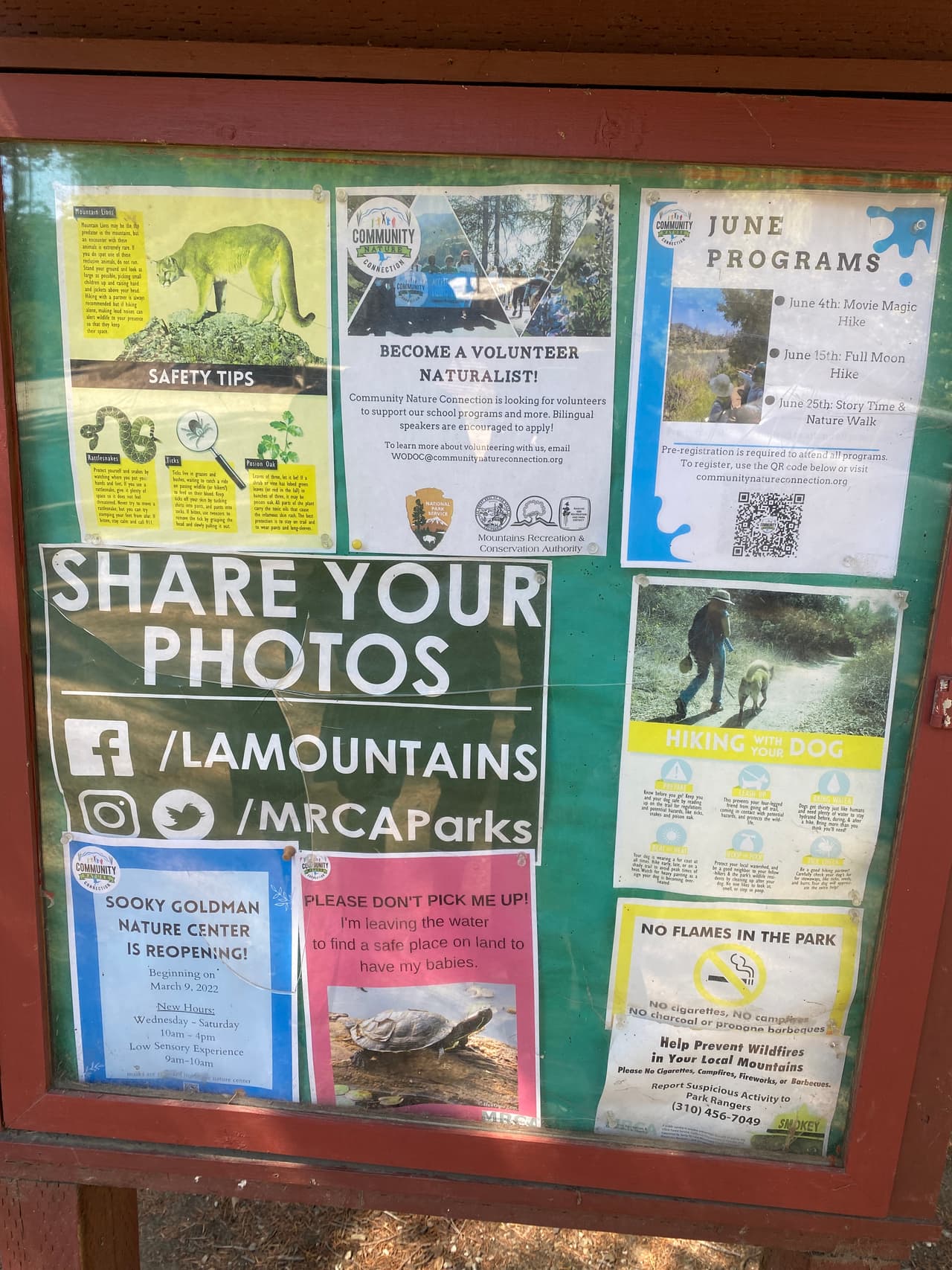 De acuerdo con los guardaparques, siendo un reservorio de vida salvaje, también es la casa de leones de montaña, serpientes de cascabel y hasta pulgas. Es recomendable recorrer los senderos habilitados y estar atentos ante la presencia de estos animales.