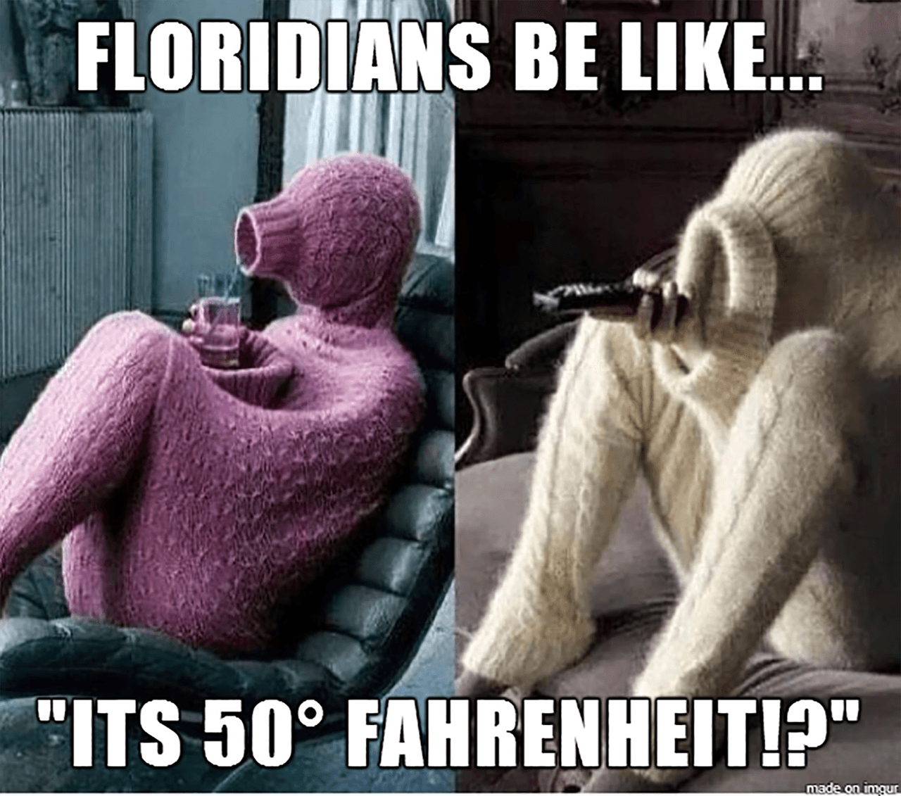 "Los floridanos se visten así cuando hace 50 grados".