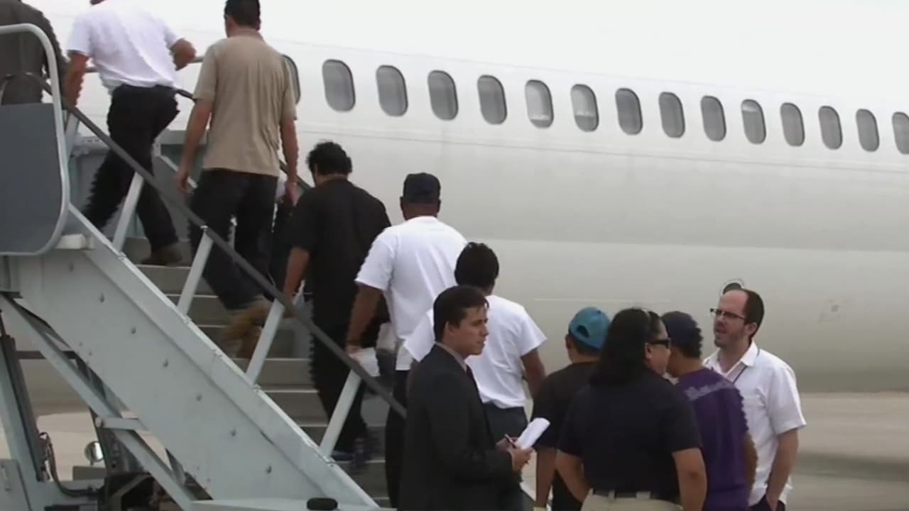 Arrestos y deportaciones de inmigrantes con procesos de asilo: un abogado aclara todas las dudas