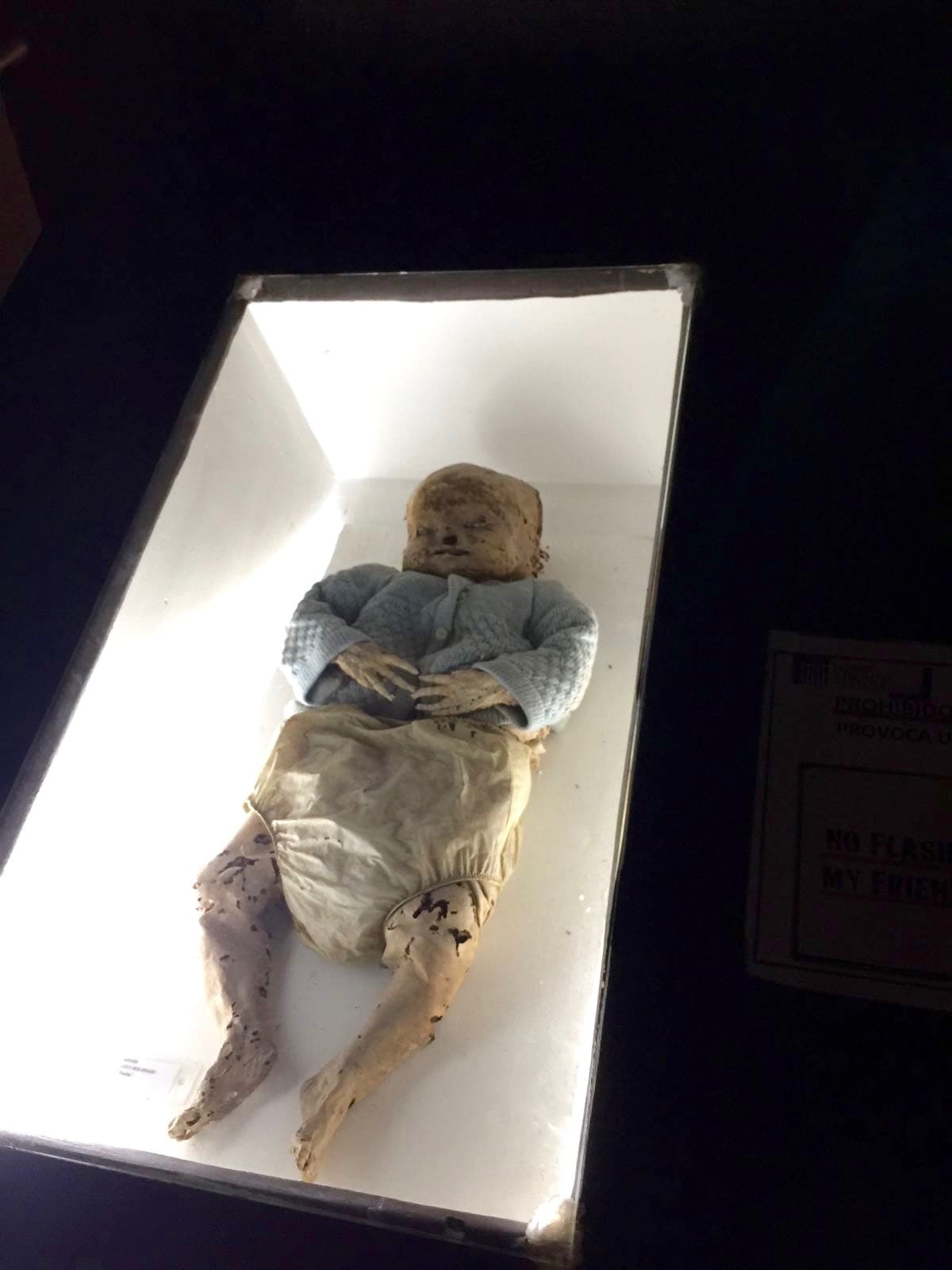 En el museo hay más de 100 momias y en varias ocasiones, una pequeña colección ha viajado de forma itinerante por diferentes lugares.