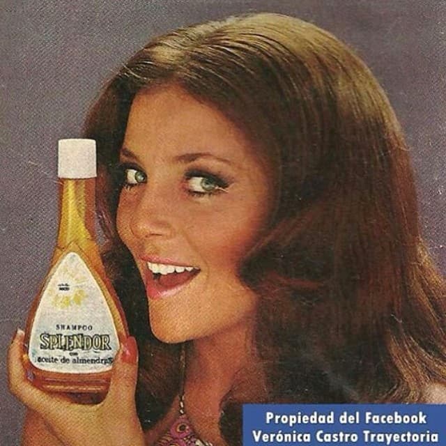 Verónica Castro ha tenido diferentes facetas profesionales: modelo, modelo de fotonovelas, bailarina, conductora, cantante, actriz y presentadora. Ha trabajado al lado de la violinista Olga Breeskin, del cantante Raphael, de Pedro Vargas, Cornelio Reyna, Juan Gabriel, Sara García, Irma Serrano, Jacqueline Andere, etc.