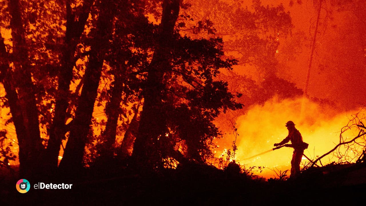 elDetector te ayuda a saber si son verdaderos o no los mensajes que ves sobre el cambio climático 