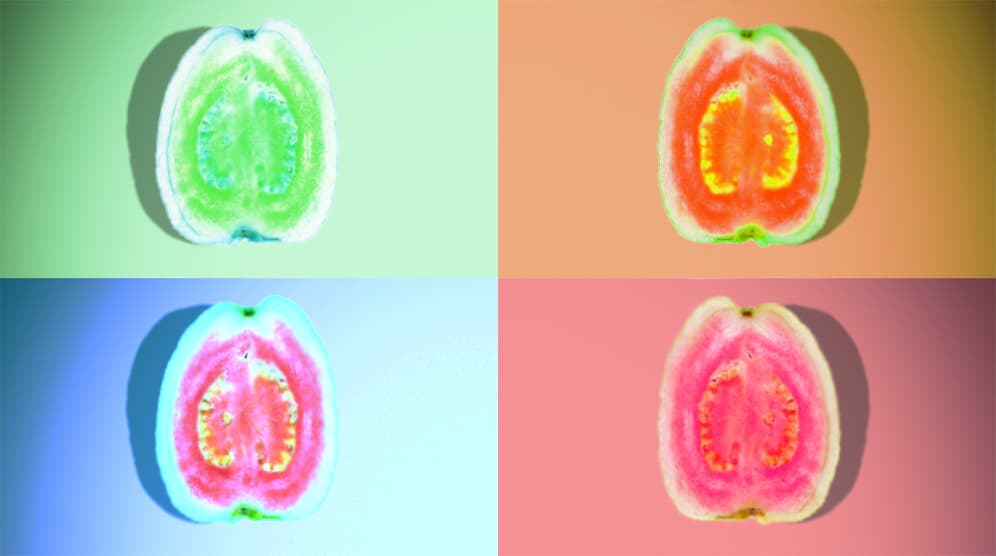 Estos 5 hombres nos cuentan por qué les encanta el sabor de la vagina