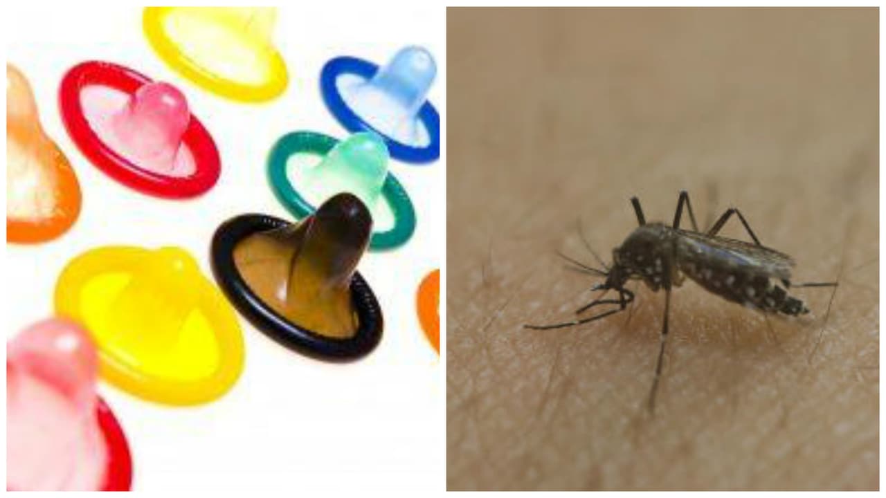 Congelan precio de los condones en PR a raíz del zika