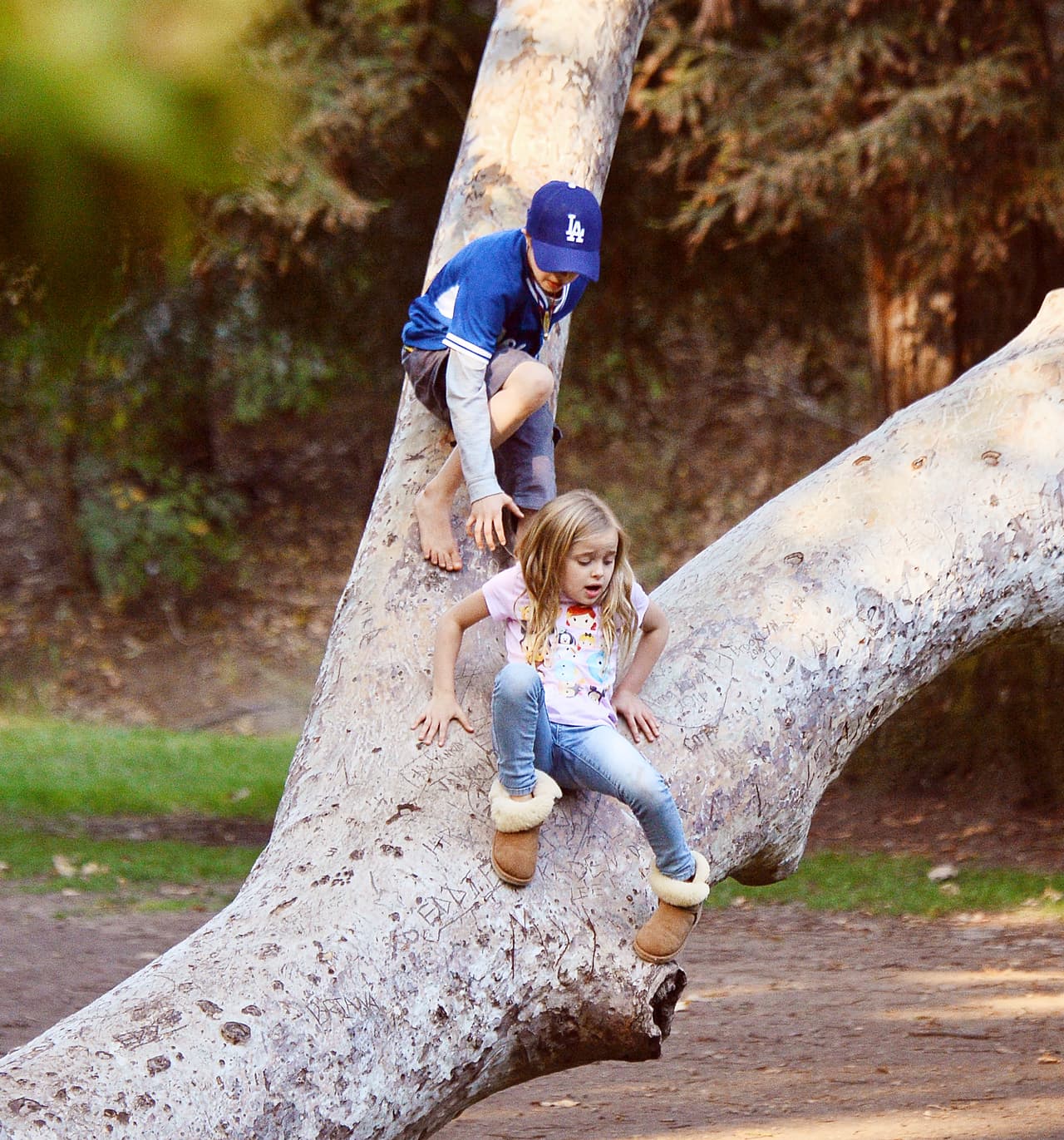 Ayudó a su hermana Vivienne a bajar del árbol.