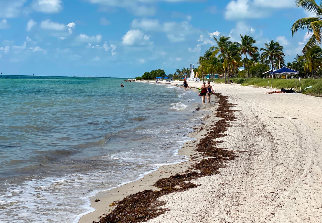 No es la primera vez que buzos o pilotos de botes y hasta turistas que caminan por las playas, encuentran mercancías de este tipo en las costas de Florida. 
<br>