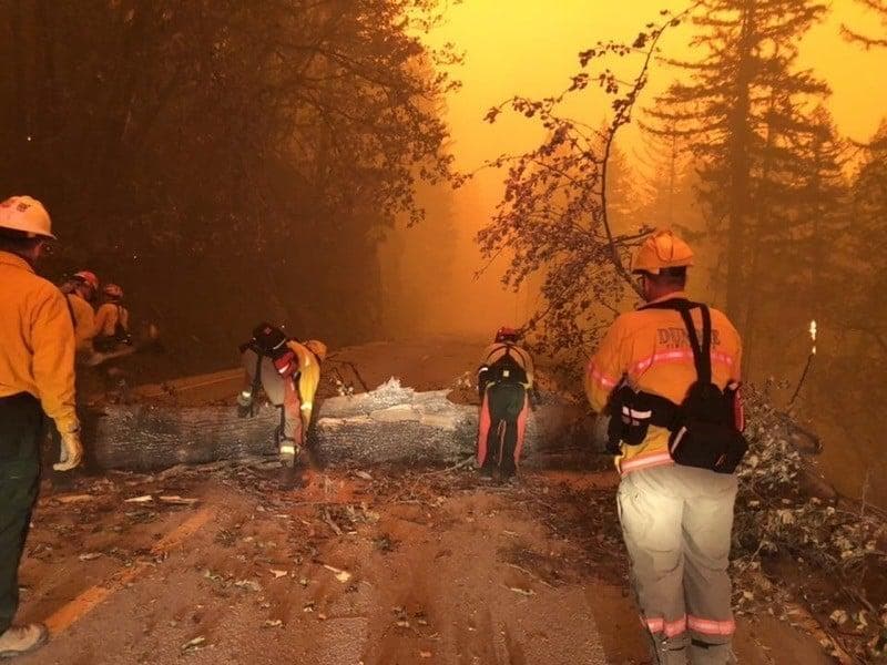 La gran cantidad de árboles muertos en los bosques de California complica la tarea de los bomberos, lo que sumado a las altas temperaturas del fin de semana festivo y las condiciones del viento impiden la contención de estos.
