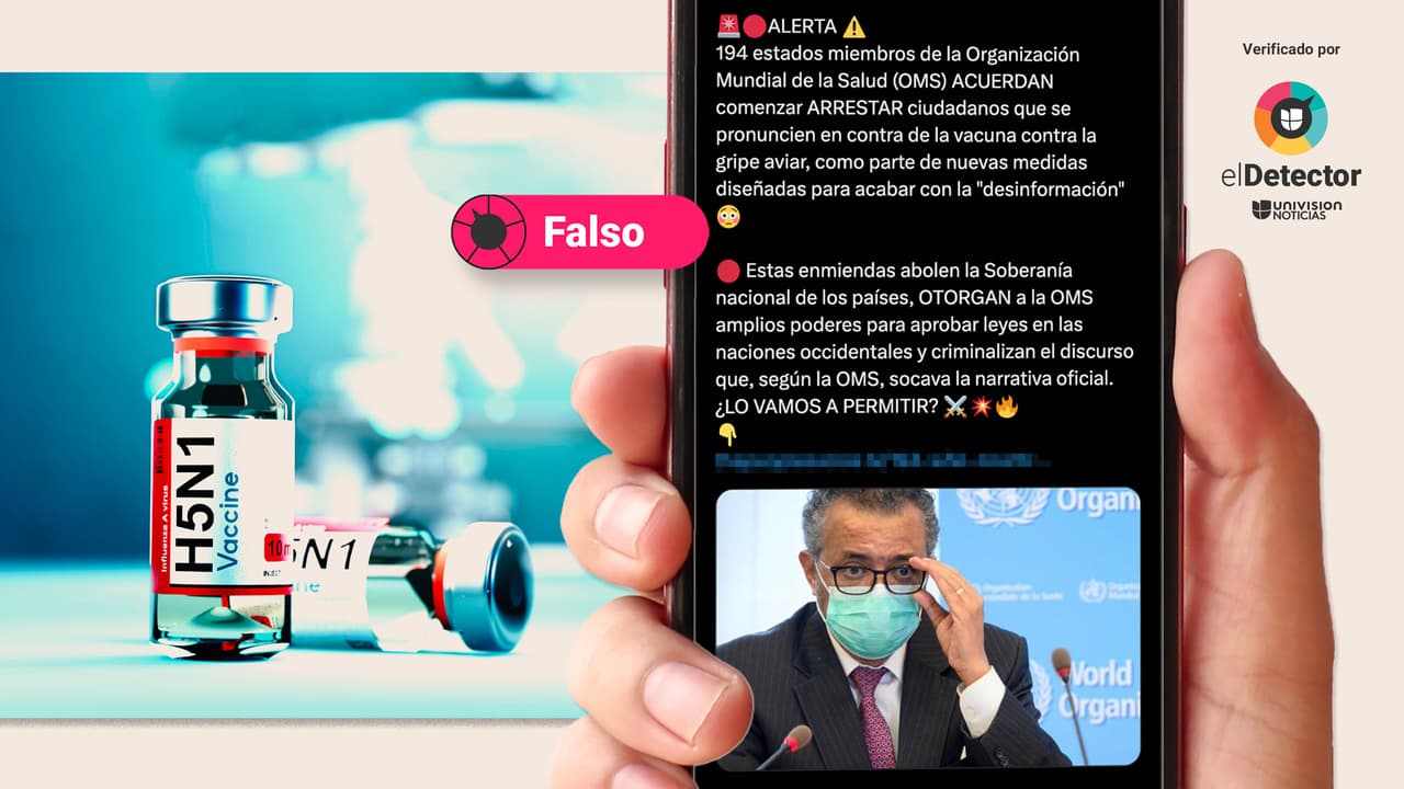 Es falso que países de la OMS acordaron arrestar a críticos de la vacuna contra la gripe aviar