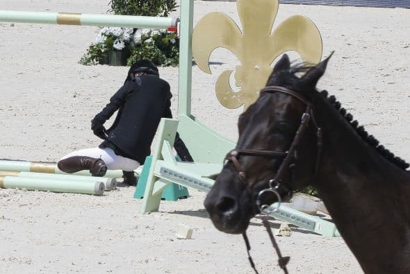 ¡Tal vez sólo se trató de un mal caballo!